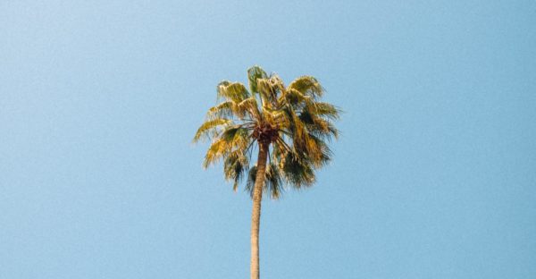 Wes hicks kv TG4 Z Tt J9 A unsplash